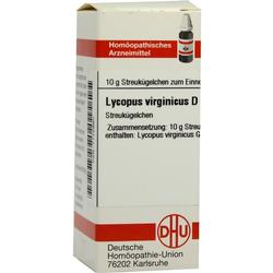 LYCOPUS VIRG D12